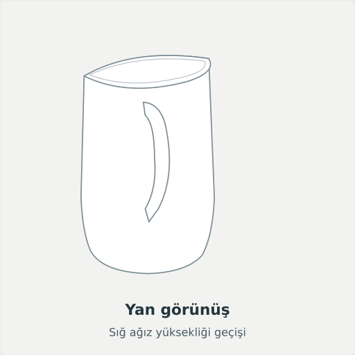 Enez: Yan görünüş, Sığ ağız yüksekliği geçişi