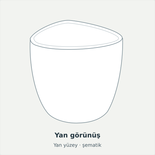 Niksar: Yan görünüş, Yan yüzey · şematik