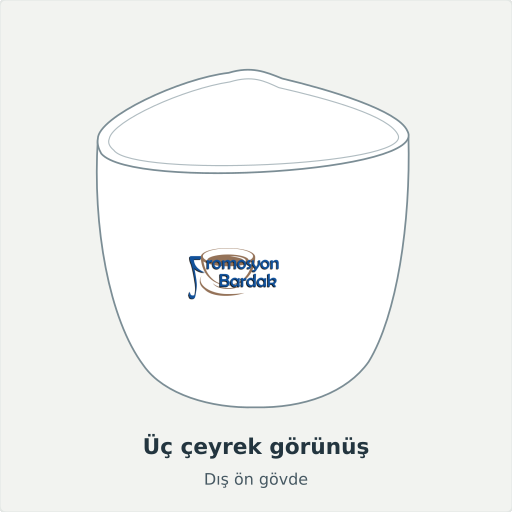 Niksar: Üç çeyrek görünüş, Dış ön gövde